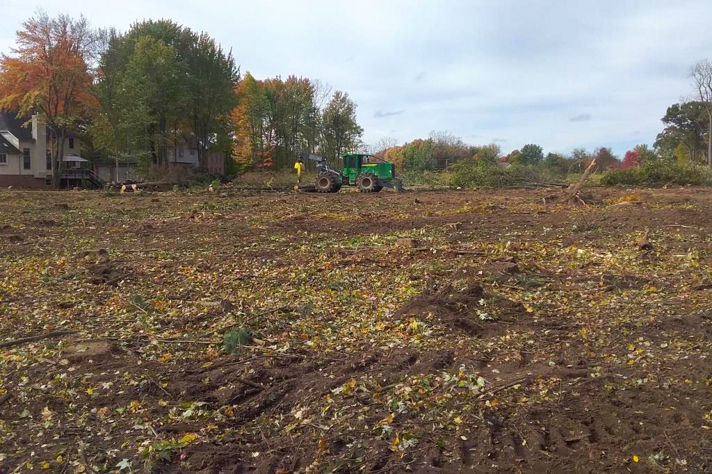 Clear Cutting Services