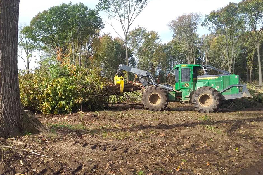 Land Clearing Services